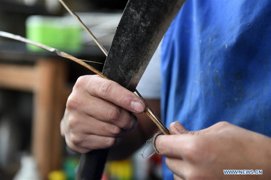 CHINA-GUANGXI-INSTRUMENT-LUSHENG-MAKING (CN)