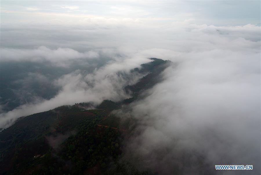 CHINA-YUNNAN-LANCANG-SCENERY AND TEA PLANTING (CN)