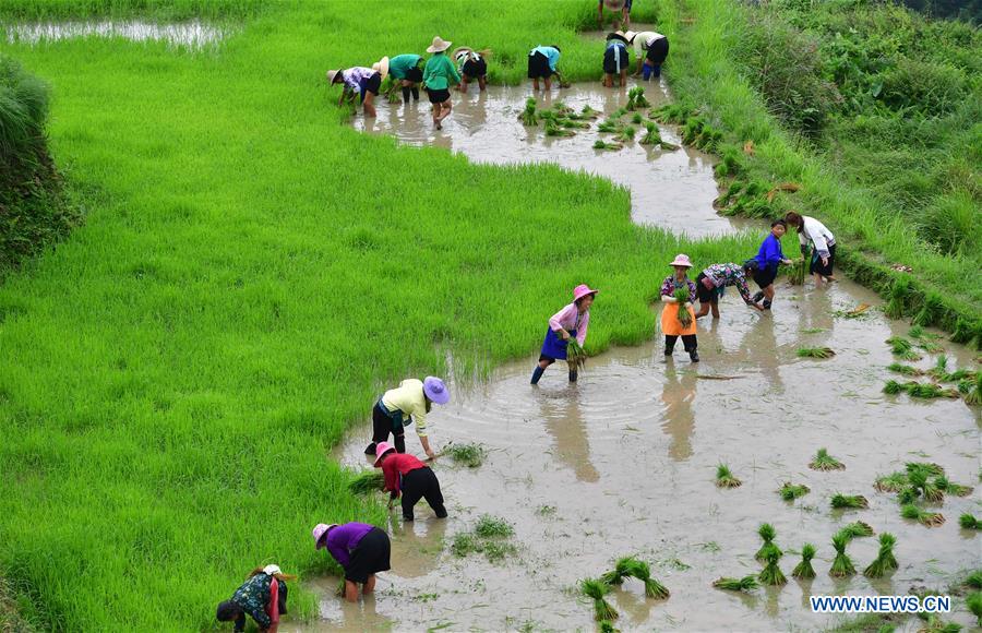 CHINA-GUANGXI-RONGSHUI-POVERTY ALLEVIATION (CN)