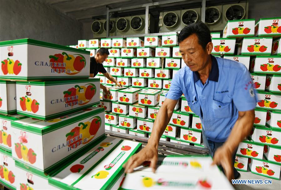 CHINA-SHANDONG-SHOUGUANG-VEGETABLE EXPORT (CN)