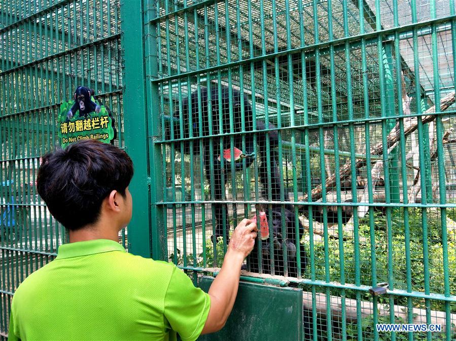 (BeijingCandid)CHINA-BEIJING-SUMMER-ANIMAL (CN)