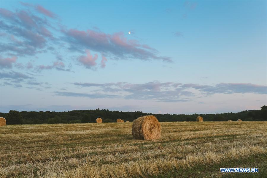 LUXEMBOURG-LENNINGEN-FIELD-SCENERY