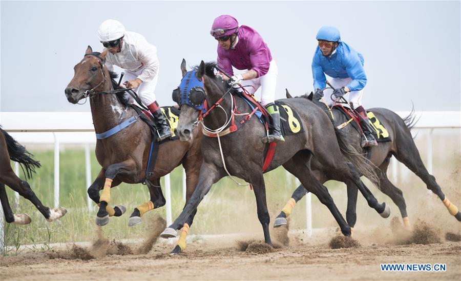 (SP)INNER MONGOLIA-HOHHOT-NATIONAL TRADITIONAL GAMES OF ETHNIC MINORITIES-8,000M HORSE RACING