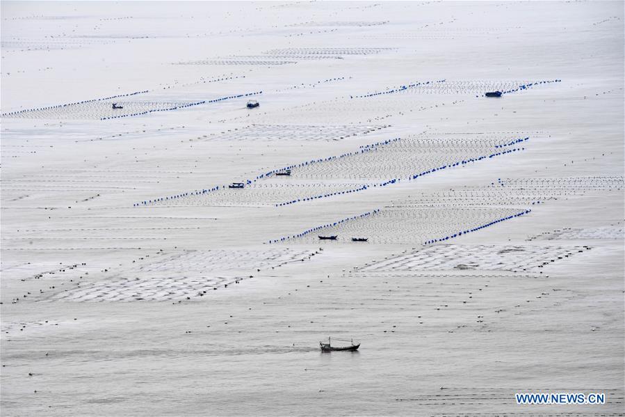 CHINA-FUJIAN-XIAPU-MARICULTURE INDUSTRY (CN)