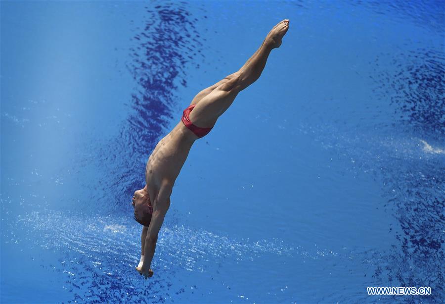 (SP)SOUTH KOREA-GWANGJU-FINA WORLD CHAMPIONSHIPS-DIVING-MEN'S 10M PLATFORM