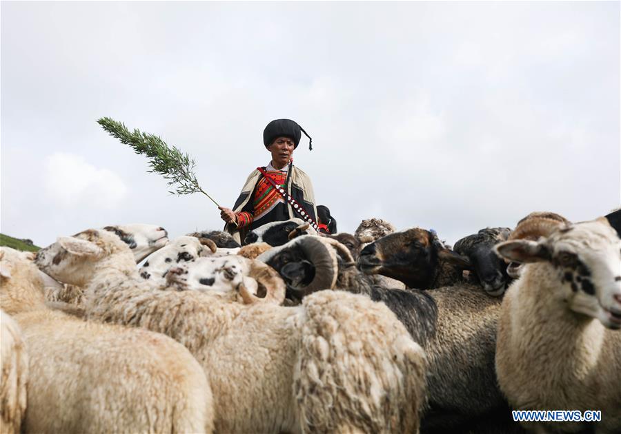 CHINA-SICHUAN-SHEEPSHEARING-FESTIVAL (CN)