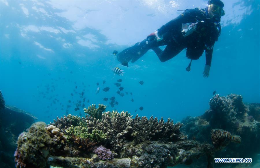 CHINA-HAINAN-BOUNDARY ISLAND-DIVING (CN)