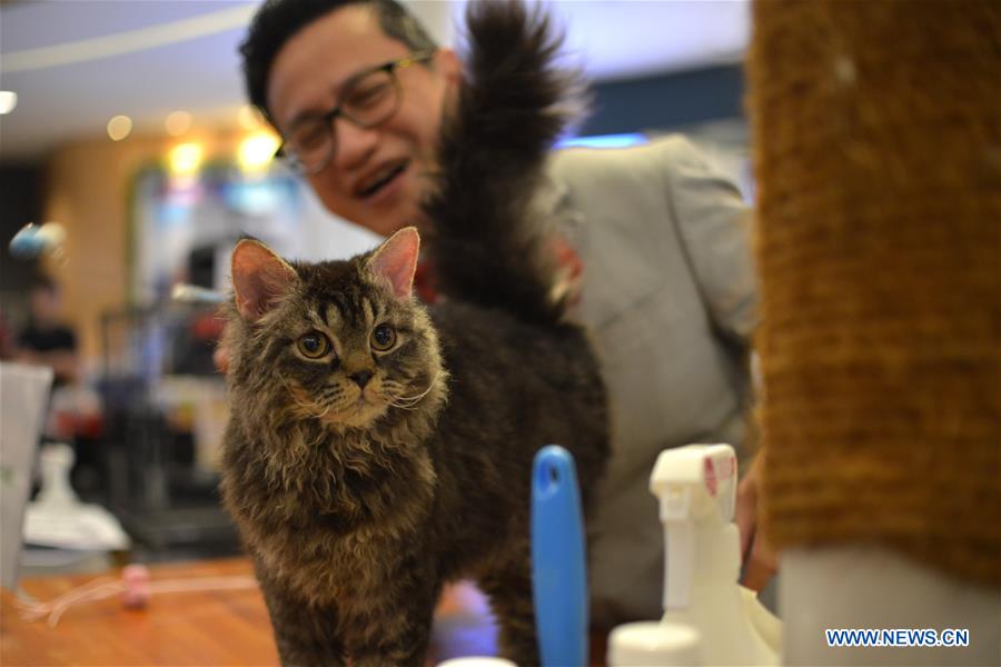 MALAYSIA-KUALA LUMPUR-NATIONAL MEOW CHAMPIONSHIP