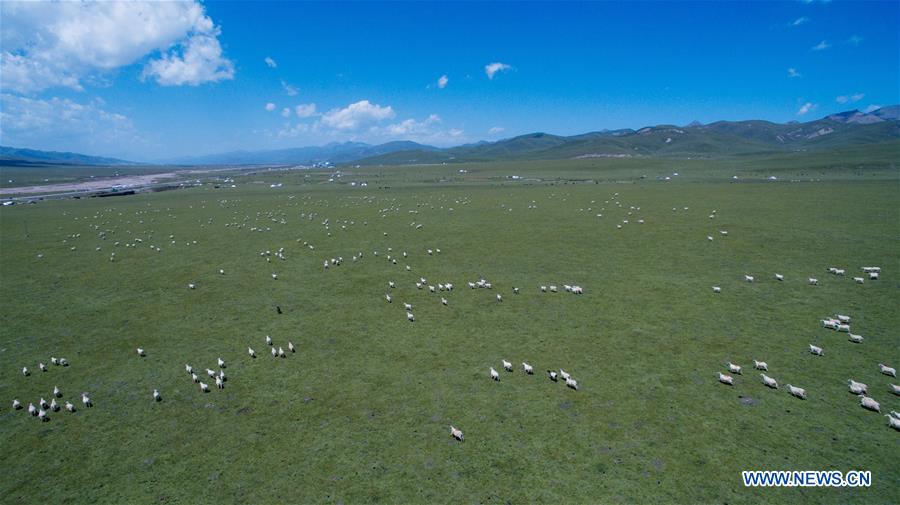 CHINA-QINGHAI-QILIAN-SCENERY (CN)