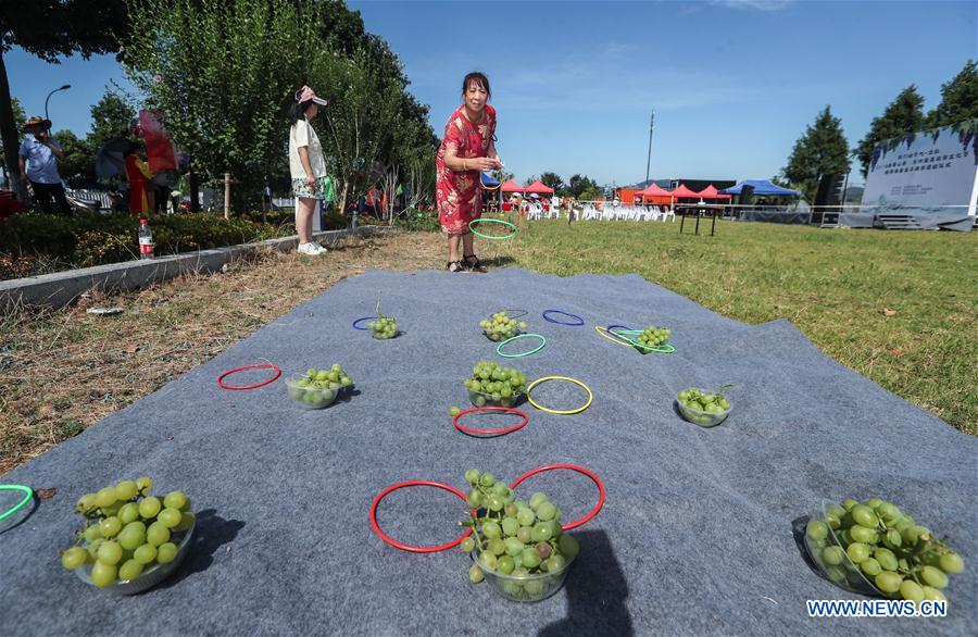 CHINA-ZHEJIANG-HANGZHOU-GRAPES-TOURISM (CN)