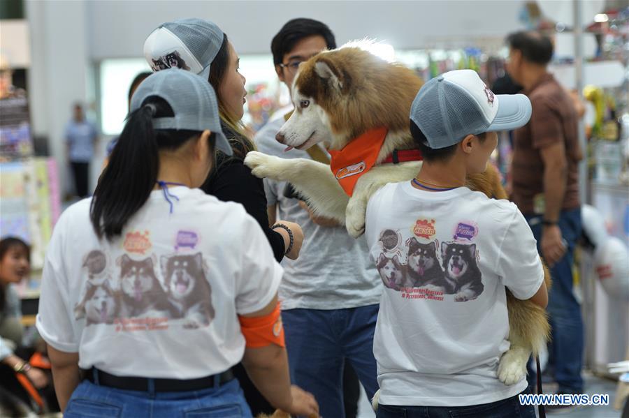 THAILAND-BANGKOK-PET EXPO