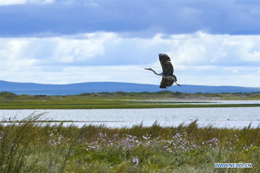 CHINA-INNER MONGOLIA-HULUN BUIR-HULUN LAKE (CN)