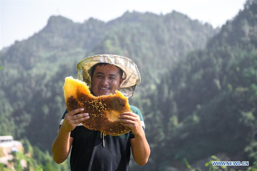 CHINA-HUNAN-XIANGXI-APICULTURE (CN)