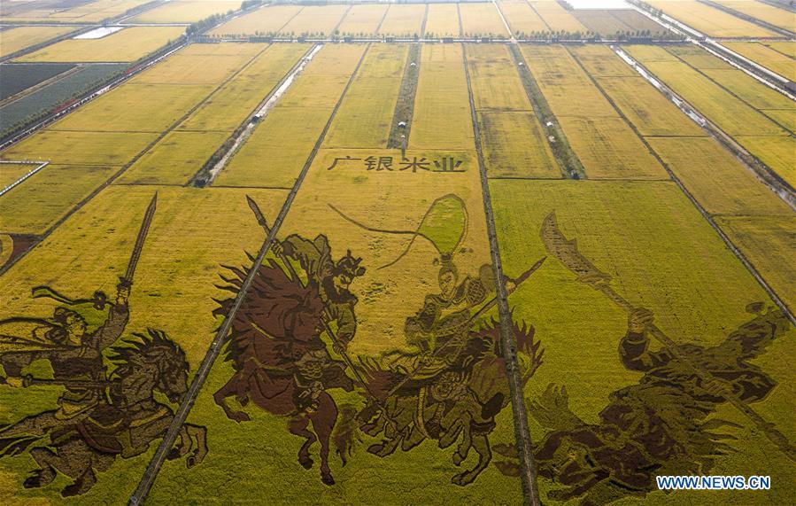 CHINA-NINGXIA-PADDY ART (CN)