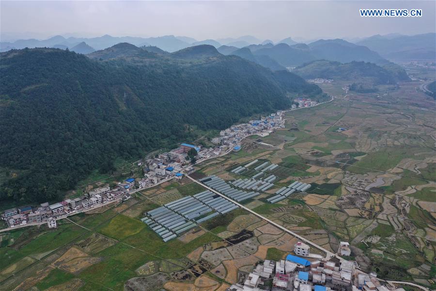 CHINA-GUIZHOU-DUYUN-COUNTRYSIDE-AUTUMN SCENERY (CN)