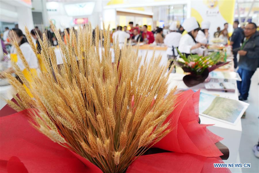 CHINA-HARBIN-RICE FESTIVAL(CN)