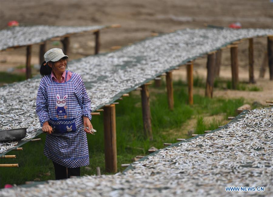 CHINA-JIANGXI-DRIED FISH (CN)