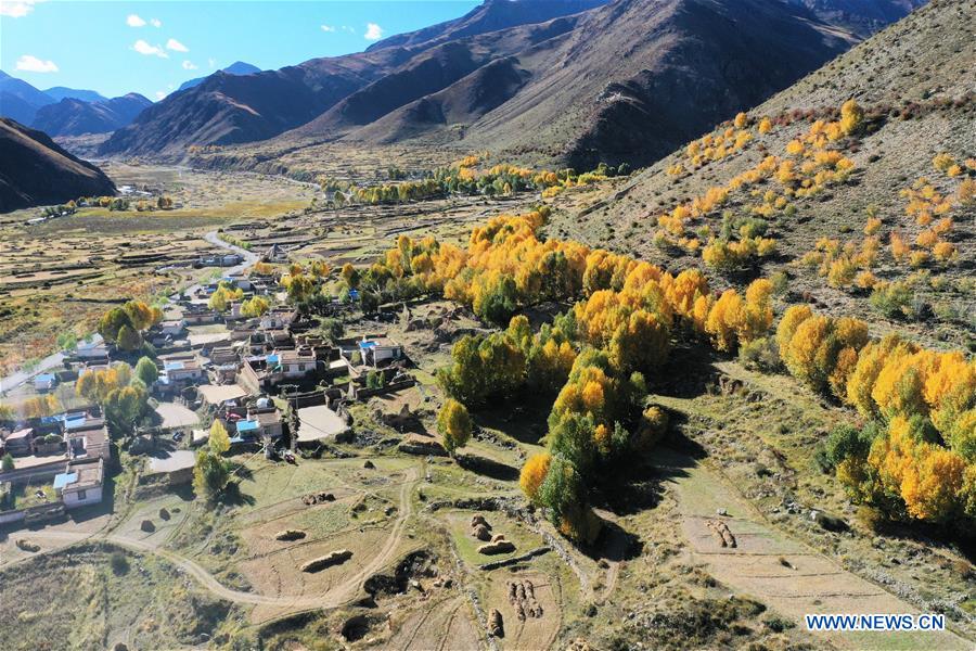 CHINA-TIBET-AUTUMN SCENERY (CN)