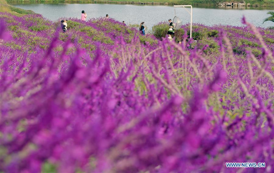 CHINA-YUNNAN-FLOWERS-TOURISM(CN)