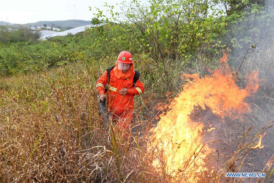 CHINA-ANHUI-FEIXI-FOREST FIRE-DRILL (CN)