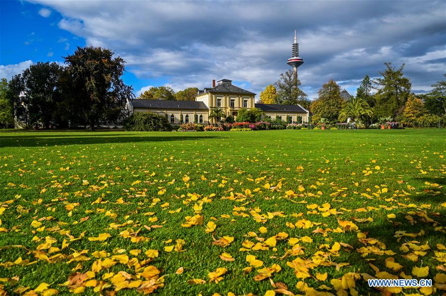 GERMANY-AUTUMN-SCENERY