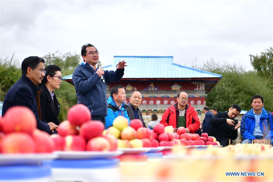 CHINA-TIBET-NYINGCHI-APPLE-TRAINING (CN)