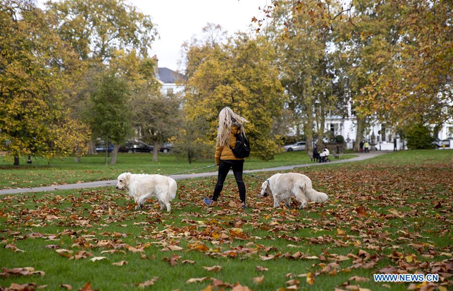 BRITAIN-LONDON-AUTUMN-FOLIAGE