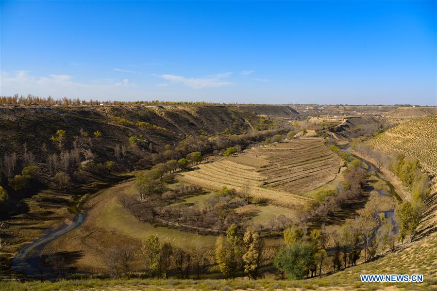 CHINA-INNER MONGOLIA-ORDOS-XARUSGOL RIVER (CN)