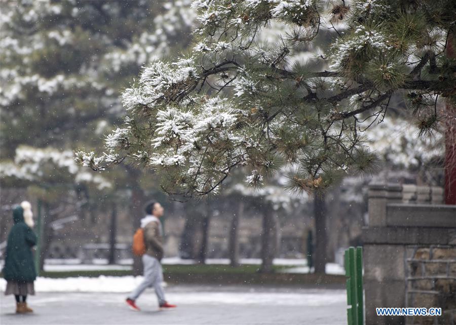 CHINA-TAIYUAN-SNOWFALL (CN)