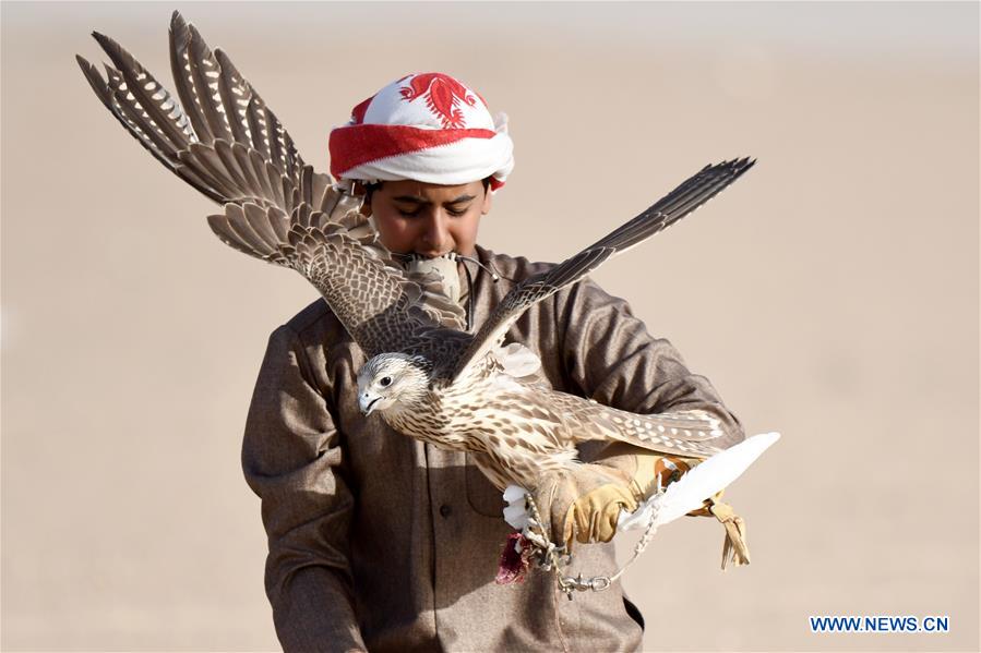 KUWAIT-JAHRA GOVERNORATE-FALCON TRAINING SHOW