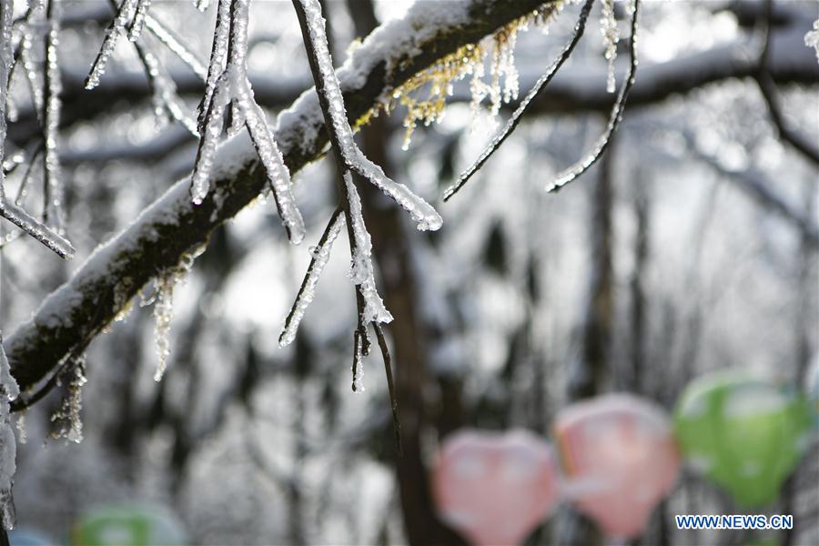 CHINA-SICHUAN-MOUNT EMEI-SCENERY (CN)