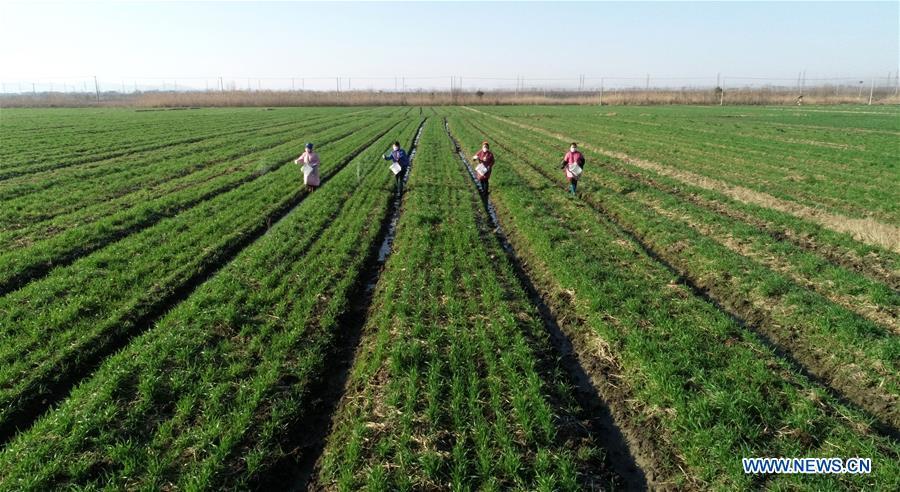 #CHINA-SPRING-FARMING (CN)