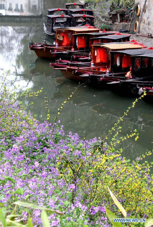 #CHINA-SPRING-SCENERY(CN)