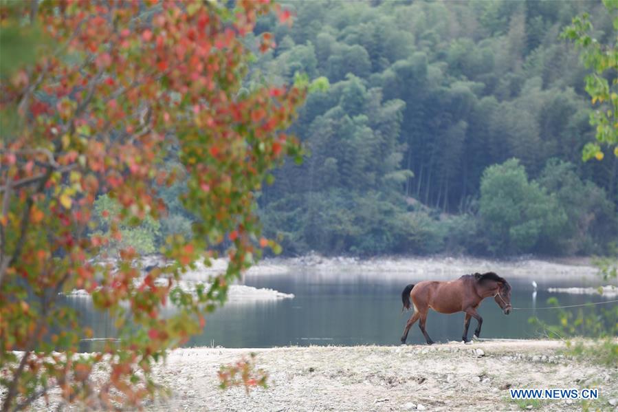 CHINA-ANHUI-YIXIAN-AUTUMN SCENERY (CN)