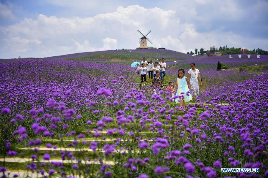 #CHINA-GUIZHOU-TONGZI-TOURISM (CN)