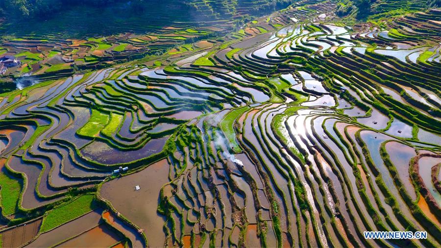 CHINA-AGRICULTURE DEVELOPMENT (CN)