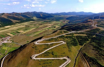 In pics: autumn scenery of Bashang area in north China's Hebei