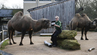 In pics: ZSL London Zoo in Britain