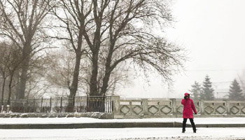 Snowfall hits northern part of China