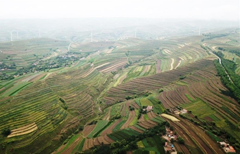 Aerial view of terraced lands in NW China's Gansu