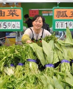 苏州：旧菜场变身网红市集