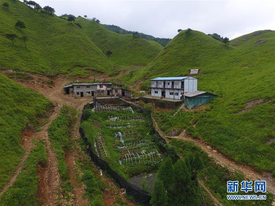 （新华全媒头条·图文互动）（3）一个人，一座山——刘真茂的生命守望