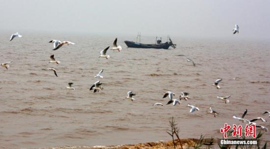 资料图：渤海湾畔。王占军 摄