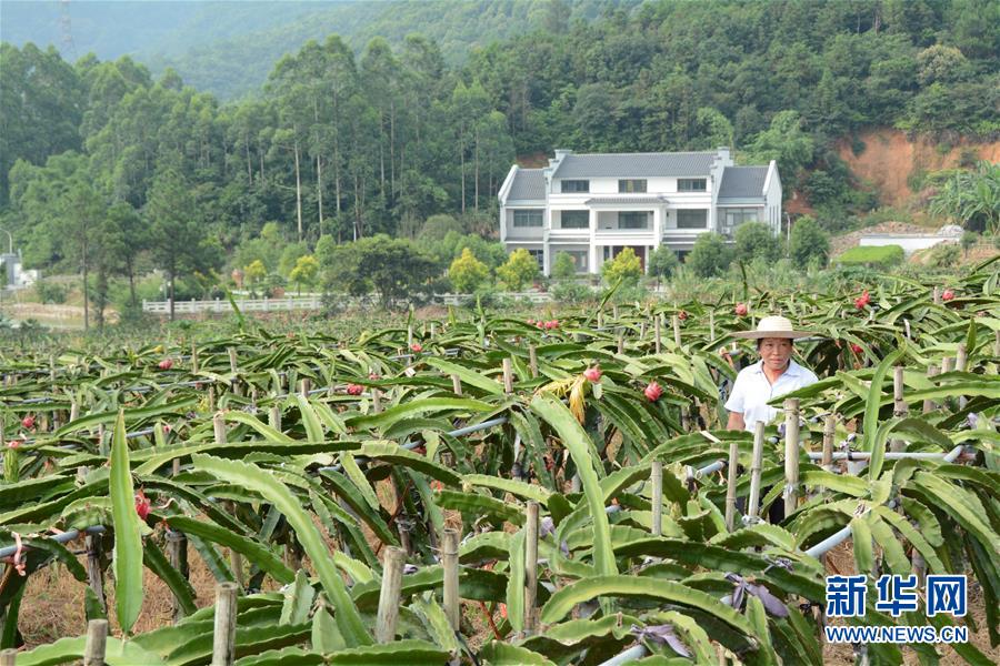 （在习近平新时代中国特色社会主义思想指引下——新时代新作为新篇章·总书记关心的百姓身边事·图文互动）（6）大污染变身“大宝藏”：治理畜禽粪污，他们这样干！