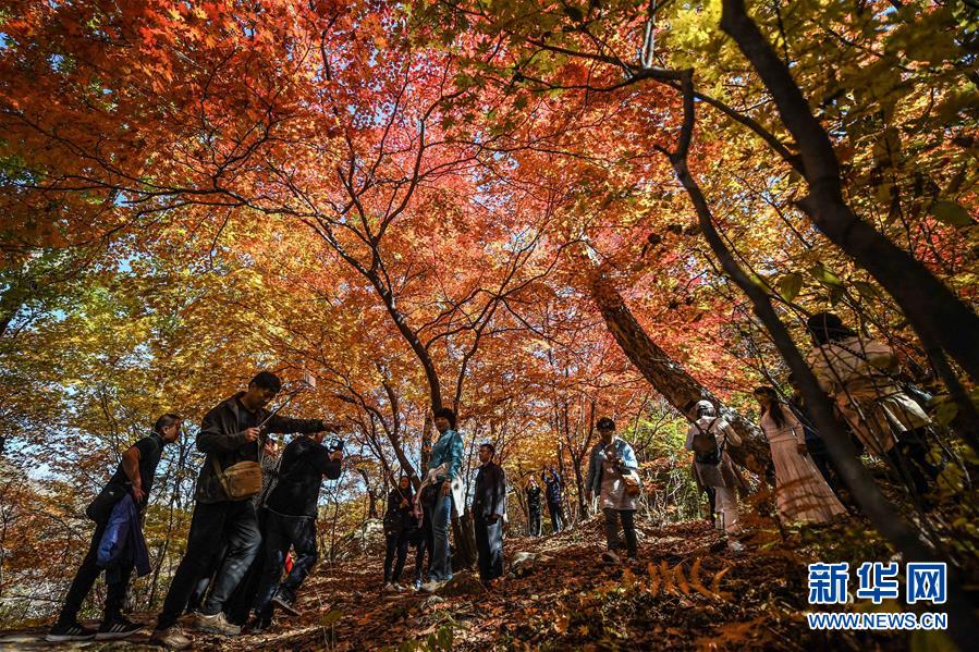 （新华全媒头条·四中全会精神在基层·图文互动）（7）冲破衰退循环 引领生态崛起——东北老工业基地城市本溪绿色转型焕发朝气