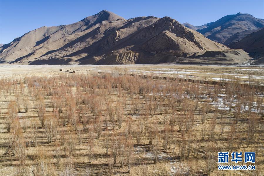 （新春走基层·图文互动）（6）守土与乡愁——走进珠峰脚下的村庄