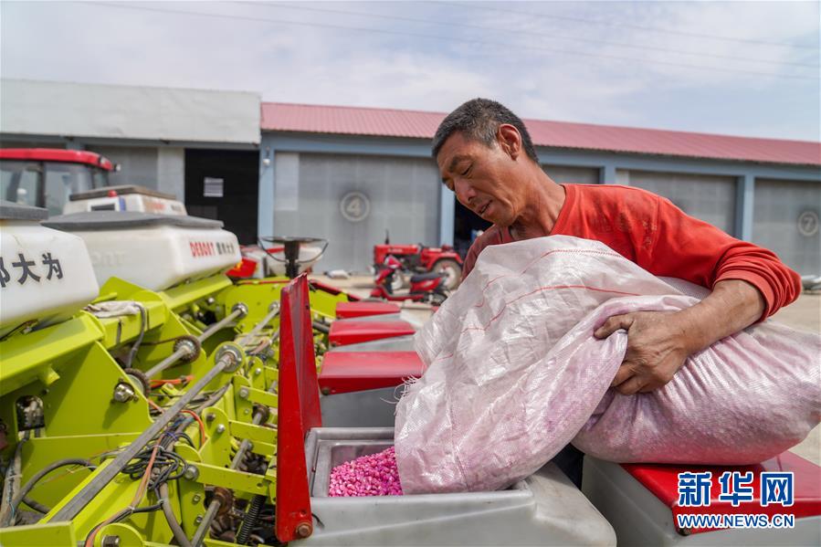 （在习近平新时代中国特色社会主义思想指引下——新时代新作为新篇章·习近平总书记关切事·图文互动）（8）让每一寸耕地都成为丰收的沃土——我国加强耕地保护推进“藏粮于地”