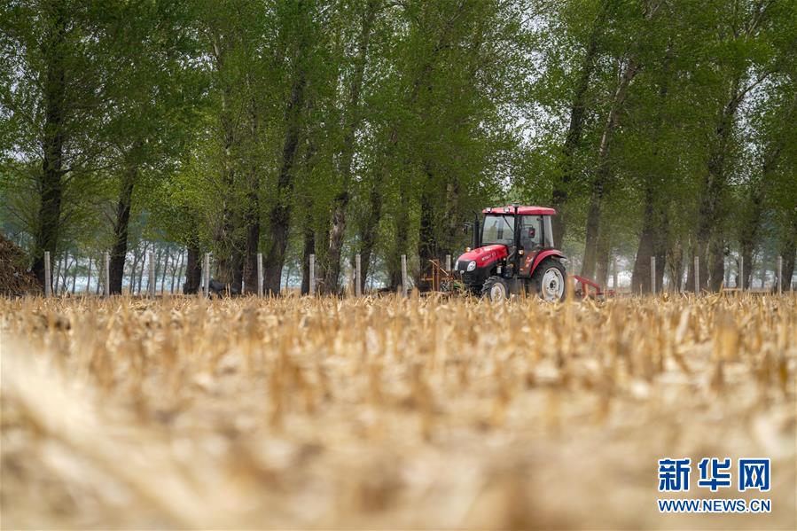 （在习近平新时代中国特色社会主义思想指引下——新时代新作为新篇章·习近平总书记关切事·图文互动）（9）让每一寸耕地都成为丰收的沃土——我国加强耕地?；ね平?ldquo;藏粮于地”