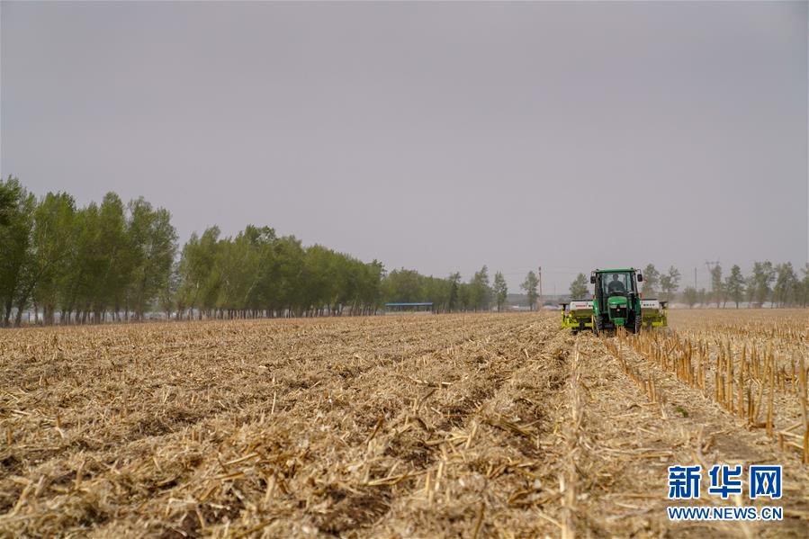 （在习近平新时代中国特色社会主义思想指引下——新时代新作为新篇章·习近平总书记关切事·图文互动）（6）为黑土加“油”——“耕地中的大熊猫”，我们这样保护