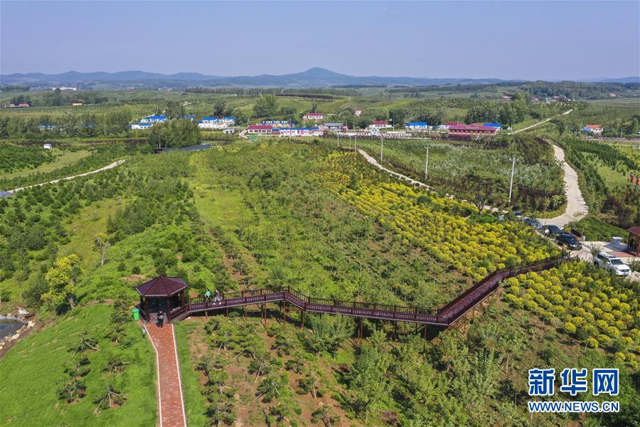 （新华全媒头条·走向我们的小康生活·图文互动）（16）黑土地上是我家——在吉林，一瞥中国东北乡村美丽未来